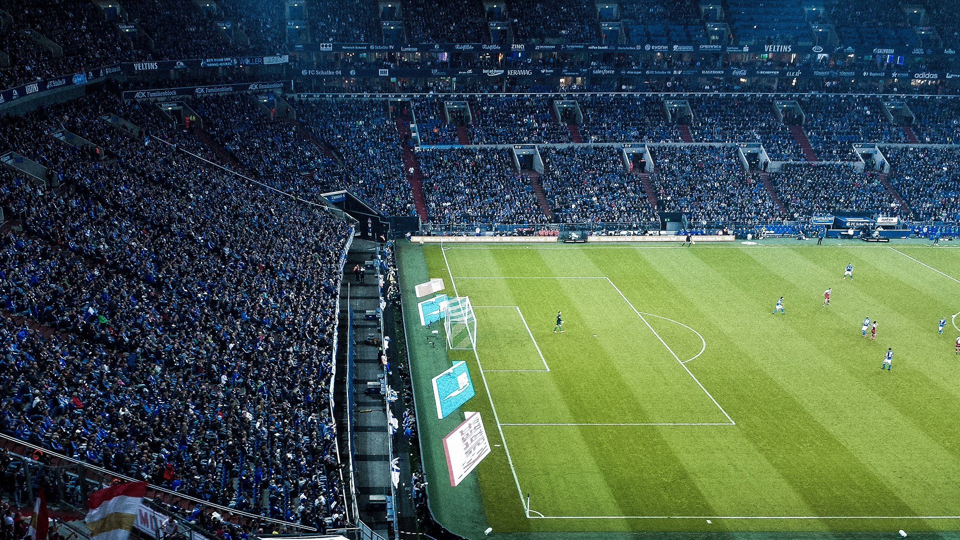 “南非羚羊队的全能选手：诺克·达维德·彼得森”的独特优势”