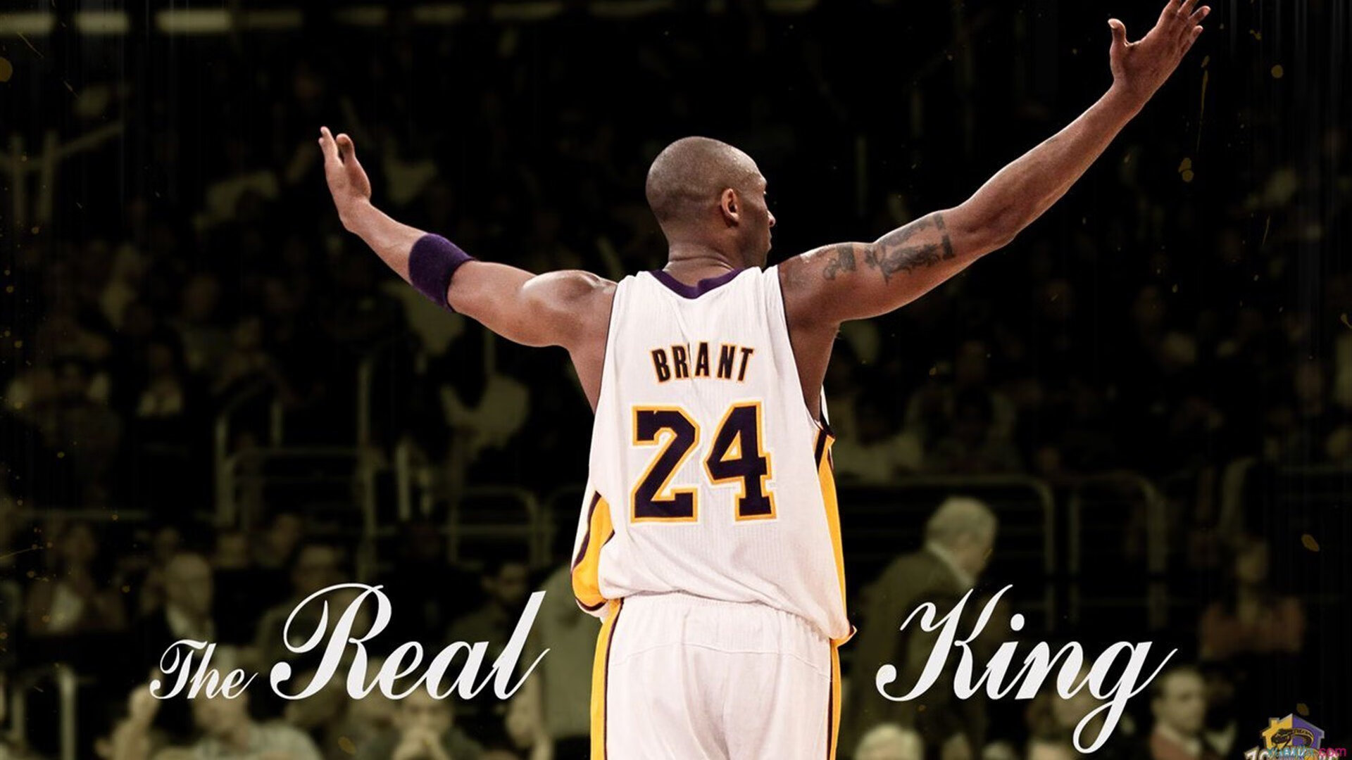 弗朗索瓦·霍尔茨豪伊泽:他的反应速度让南非队在关键时刻化险为夷